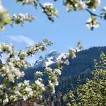 Bergner Alm Bruck an der Grossglocknerstrasse