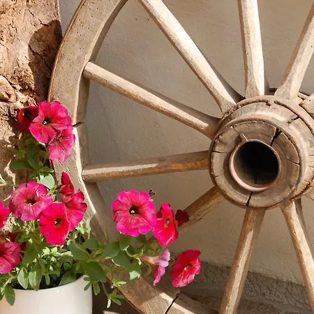 Apartamento Bergner Alm *