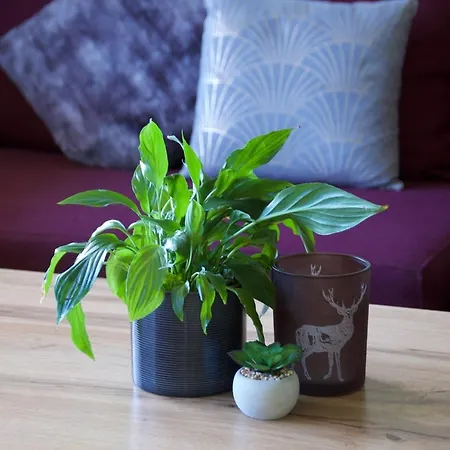 Bergner Alm Fusch an der Glocknerstraße