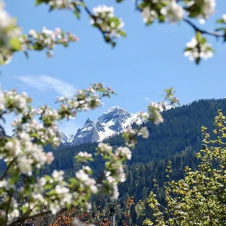 Bergner Alm Fusch an der Glocknerstraße