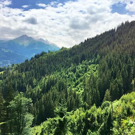 Bergner Alm Appartamento Fusch an der Glocknerstraße